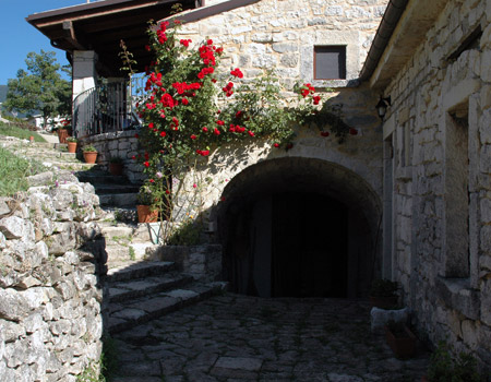 Stone walls and rose garden